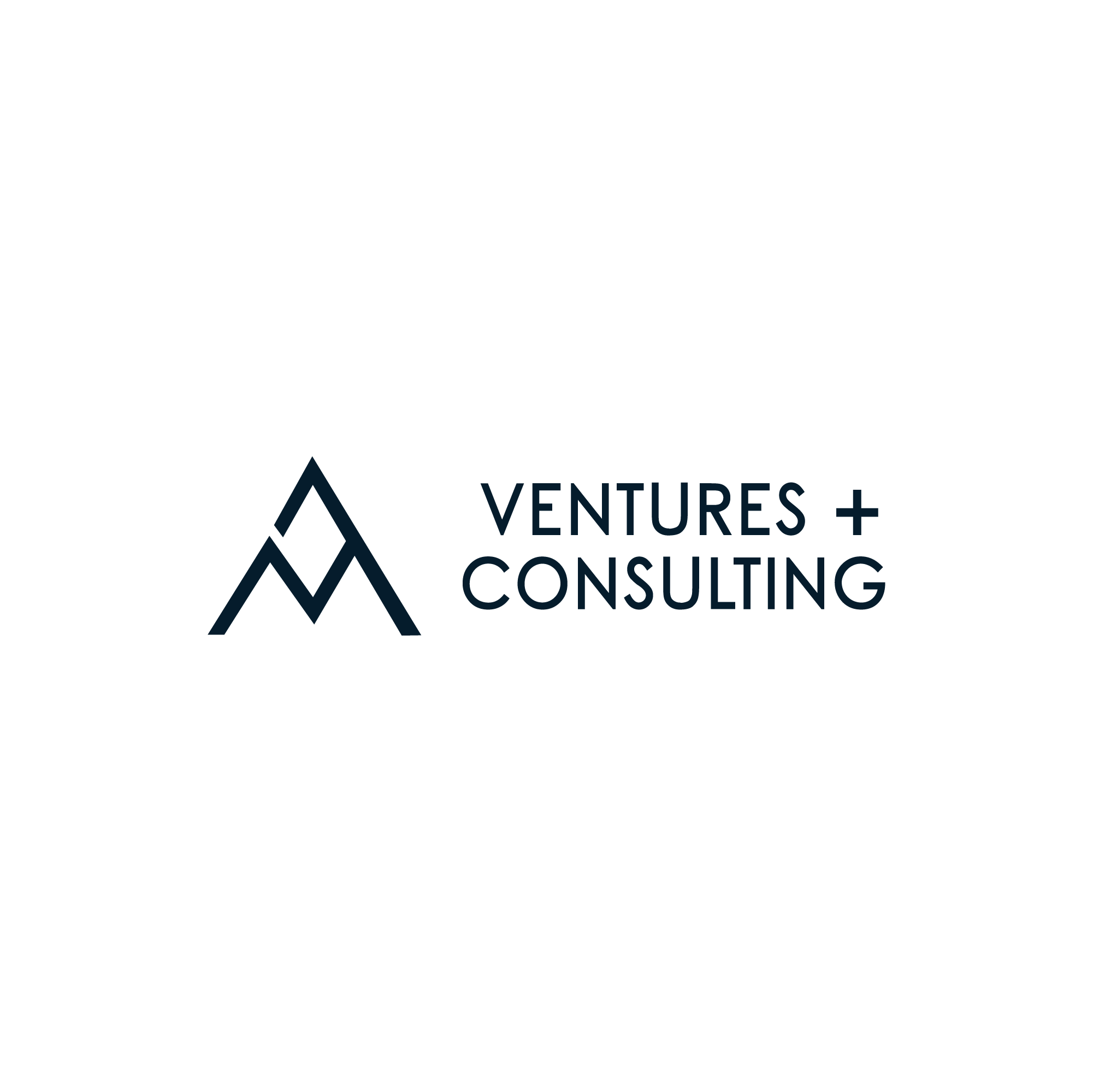 AM Ventures + Consulting