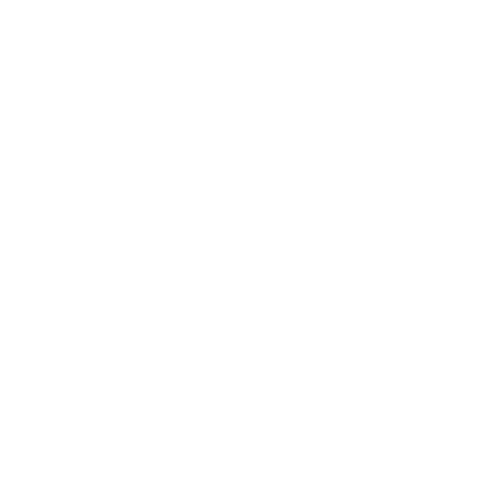 AM Ventures + Consulting